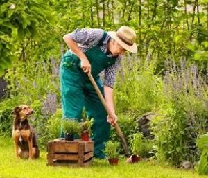 jardinage et extérieur