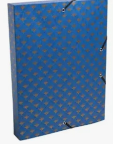 Boite de rangement exa compta avec élastiques violet