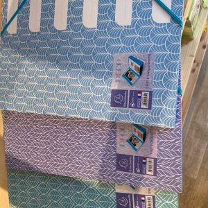 Trieur 6 compartiments bleu