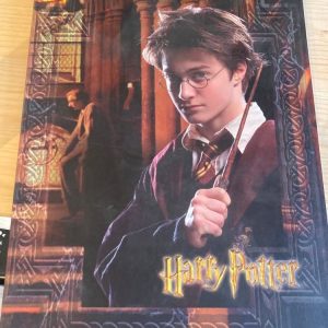 Cahier 21*29.7 grand carreaux Harry potter 96 pages